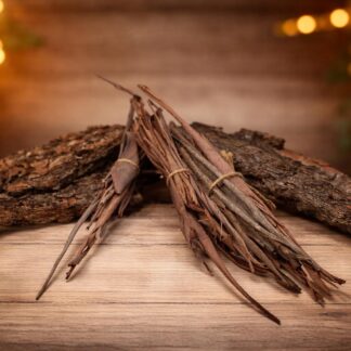 Fagots d'écorce de bois d'Eucalyptus radié