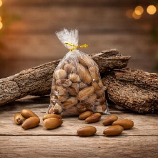 Sachet de glands chêne vert 100g