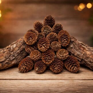 Lot de 40 pommes de pin Epicéa